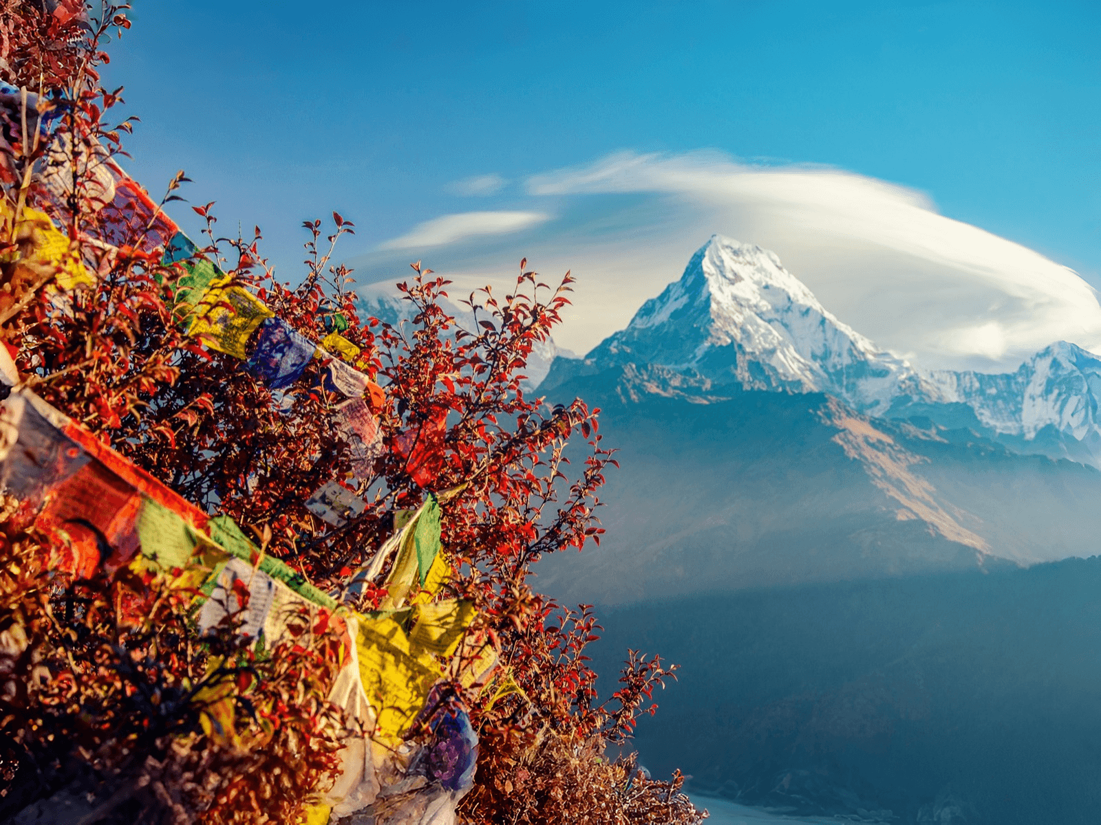 Poon Hill Trek